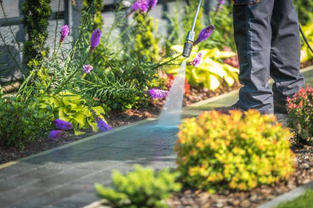 Best Restaurant Pressure Washing  in Carthage, TX