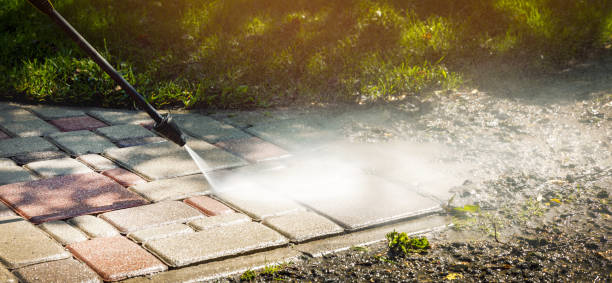 Best Sidewalk and Walkway Cleaning  in Carthage, TX
